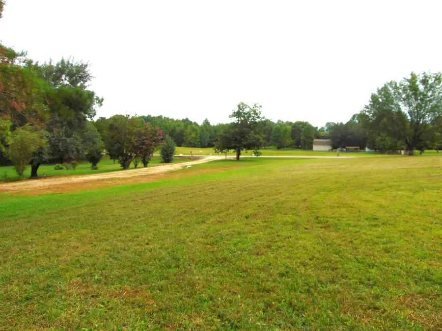 0 Co Rd 87, Waterloo, AL 35677 - #2