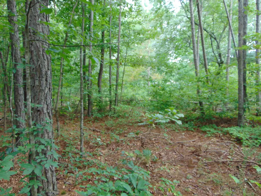0 Co Rd 87, Waterloo, AL 35677 - #3