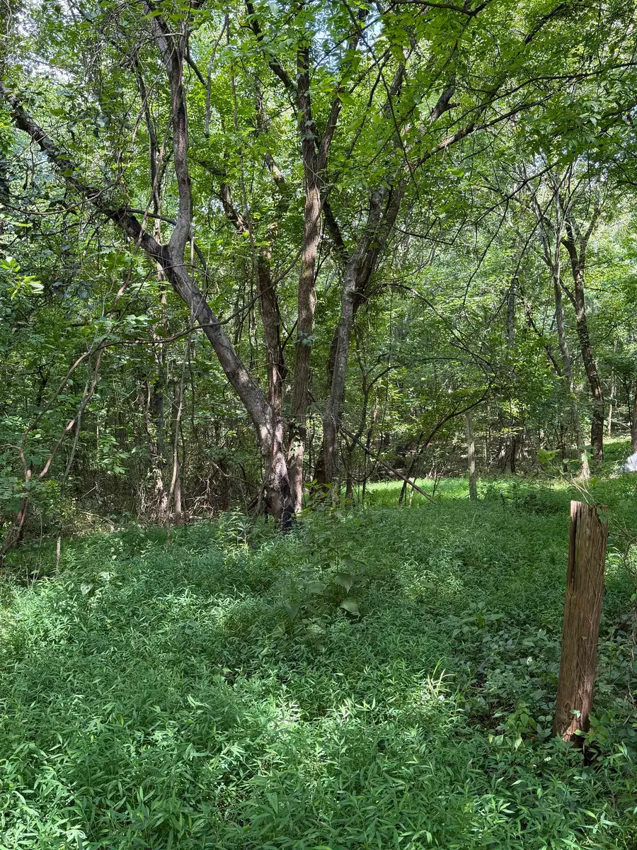 5470 Frankfort Rd, Tuscumbia, AL 35674 - #3
