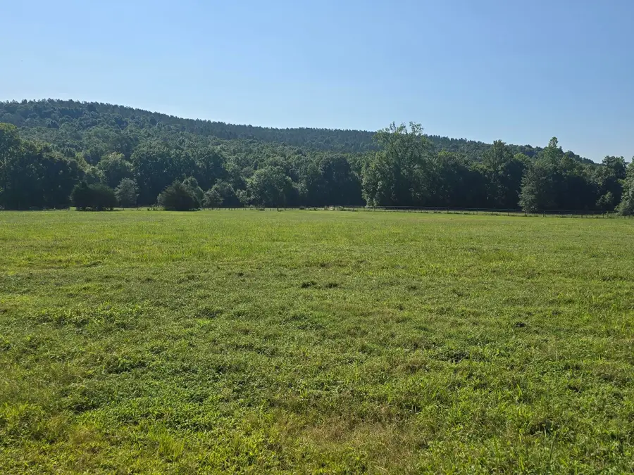 10708 Mt Hester Rd, Cherokee, AL 35616 - #3