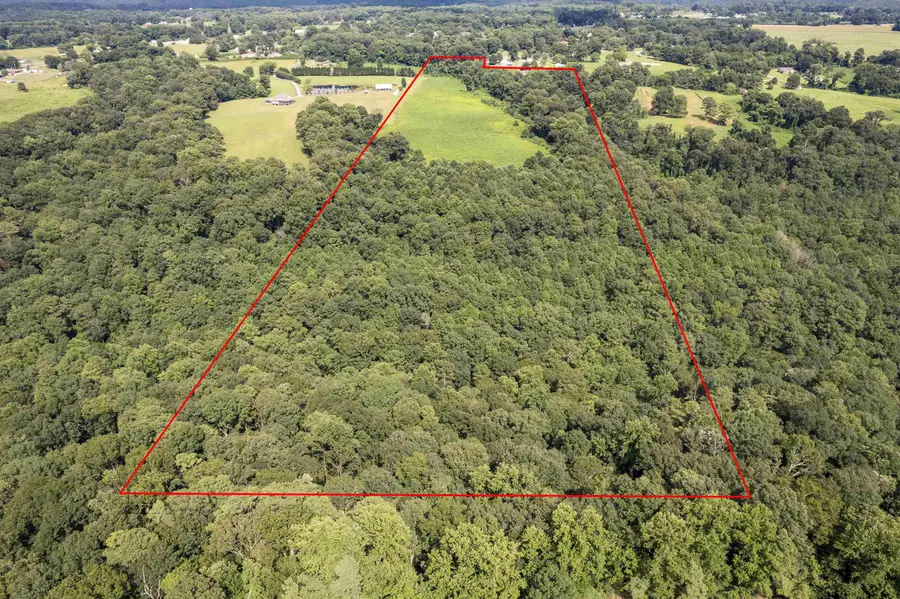 350 Co Rd 405, Cullman, AL 35057 - #2