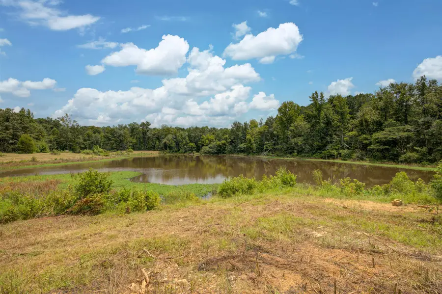 12082 Co Rd 43, Vandiver, AL 35176 - #2