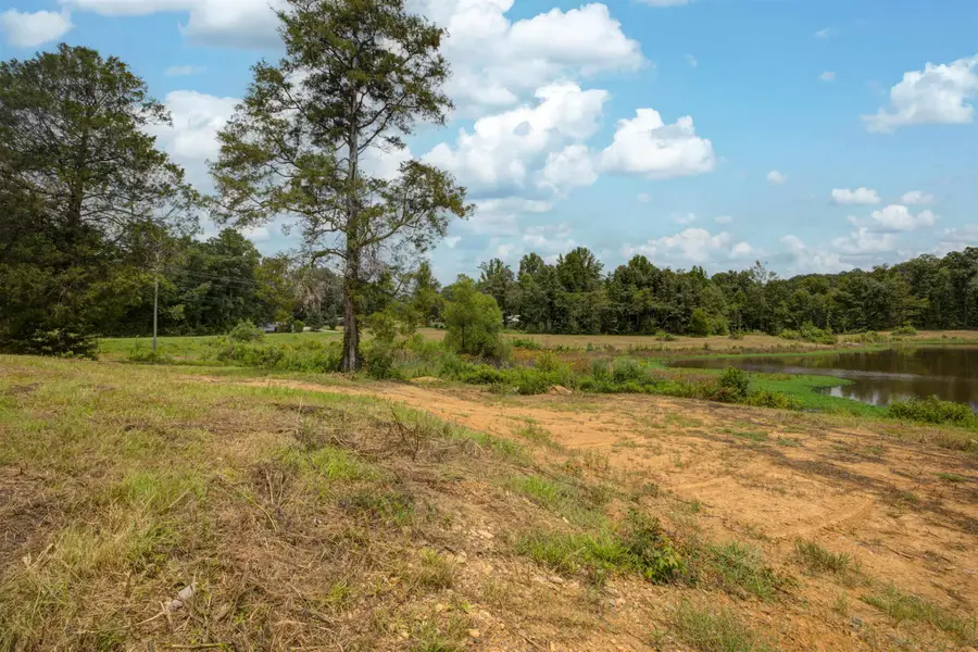 12082 Co Rd 43, Vandiver, AL 35176 - #3