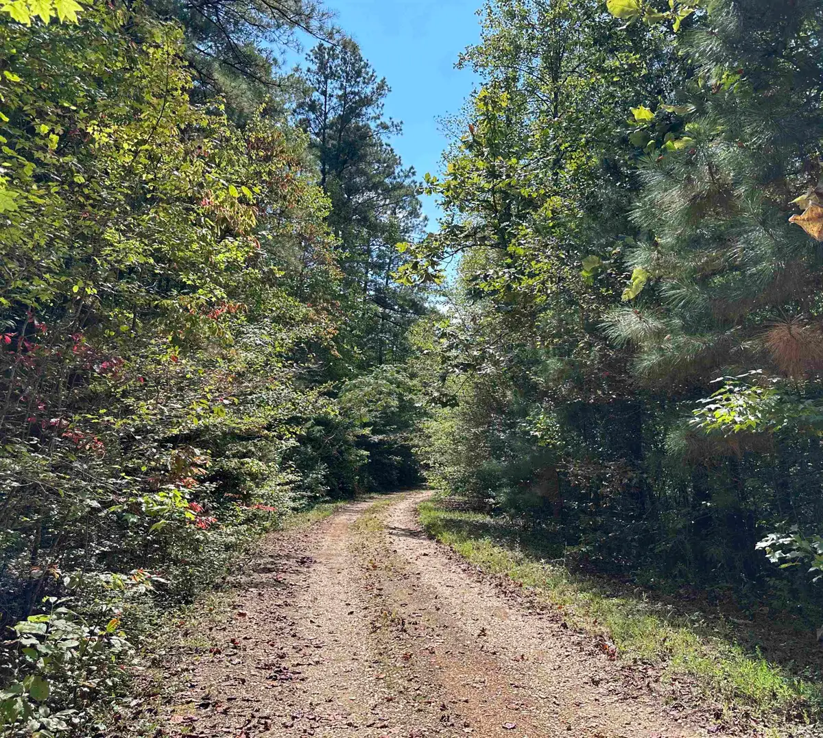 0 Co Rd 3034, Double Springs, AL 35553 - #1