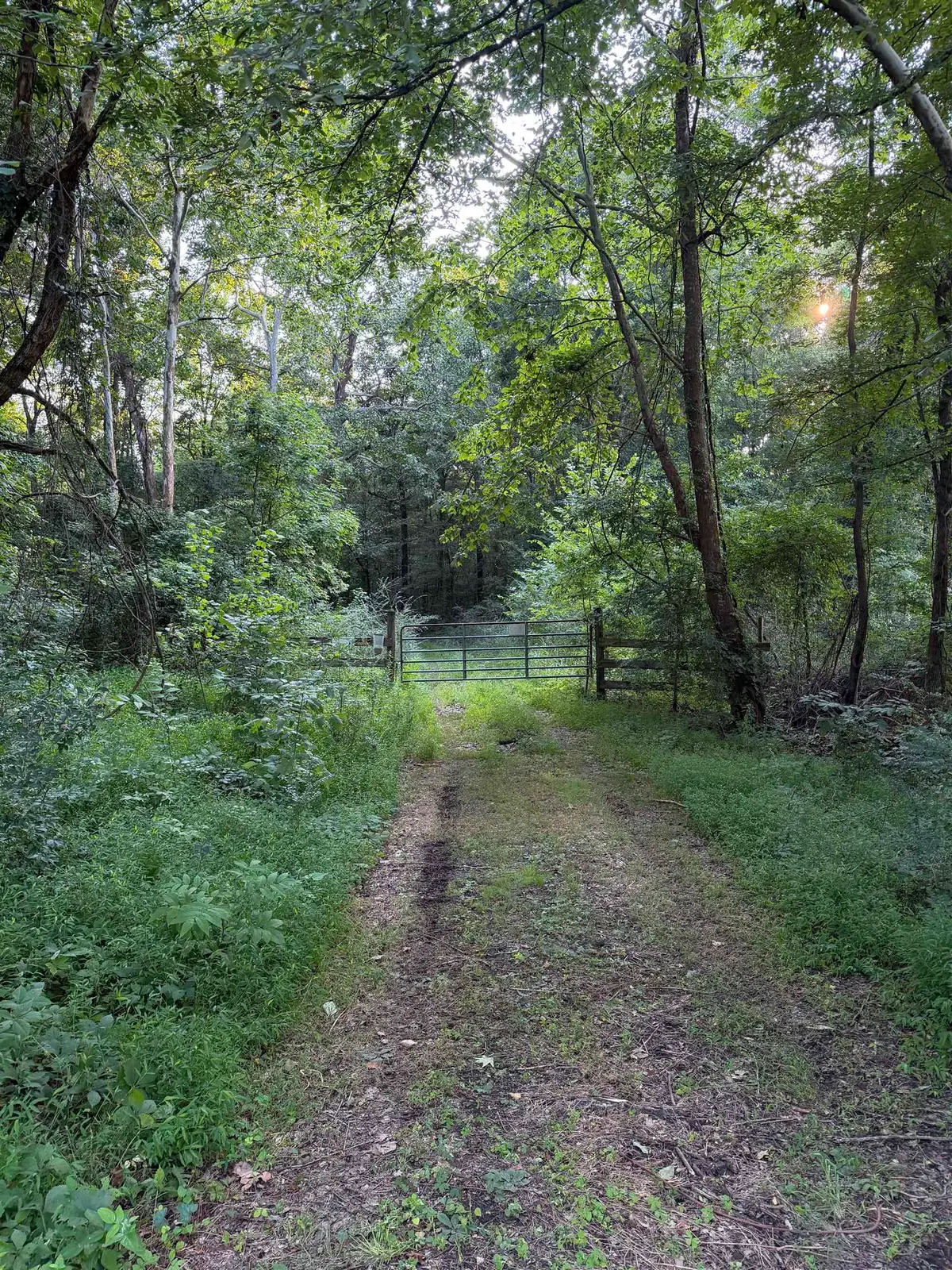 00000 Frankfort Rd, Tuscumbia, AL 35674 - #1