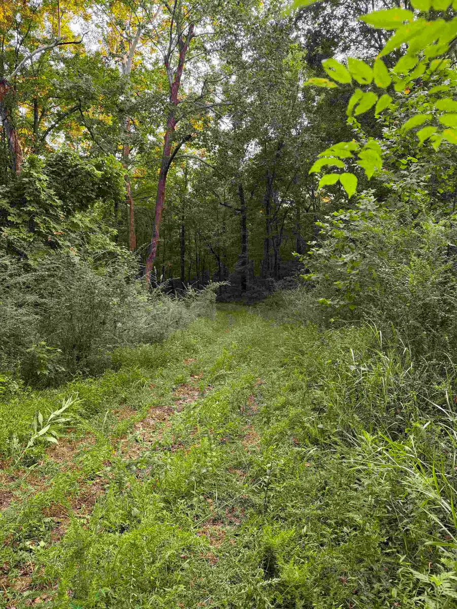 00000 Frankfort Rd, Tuscumbia, AL 35674 - #2