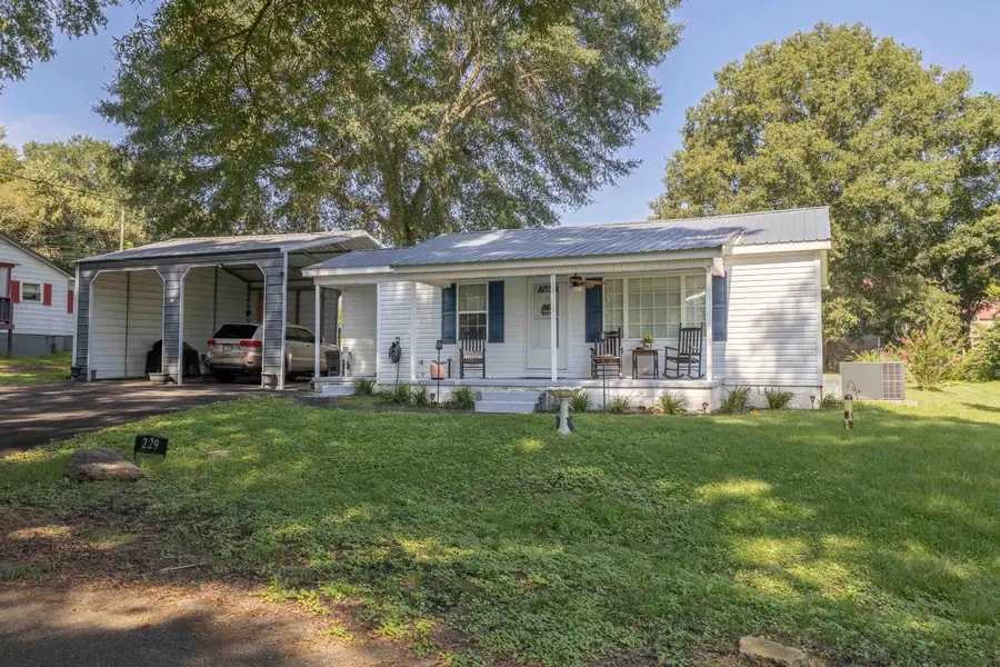 229 Georgia St, Bear Creek, AL 35543 - #3