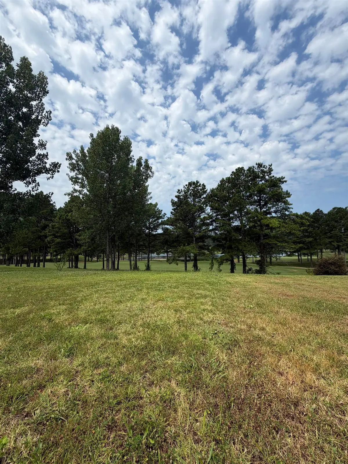 0 Twin Pines Cir, Tuscumbia, AL 35674 - #1
