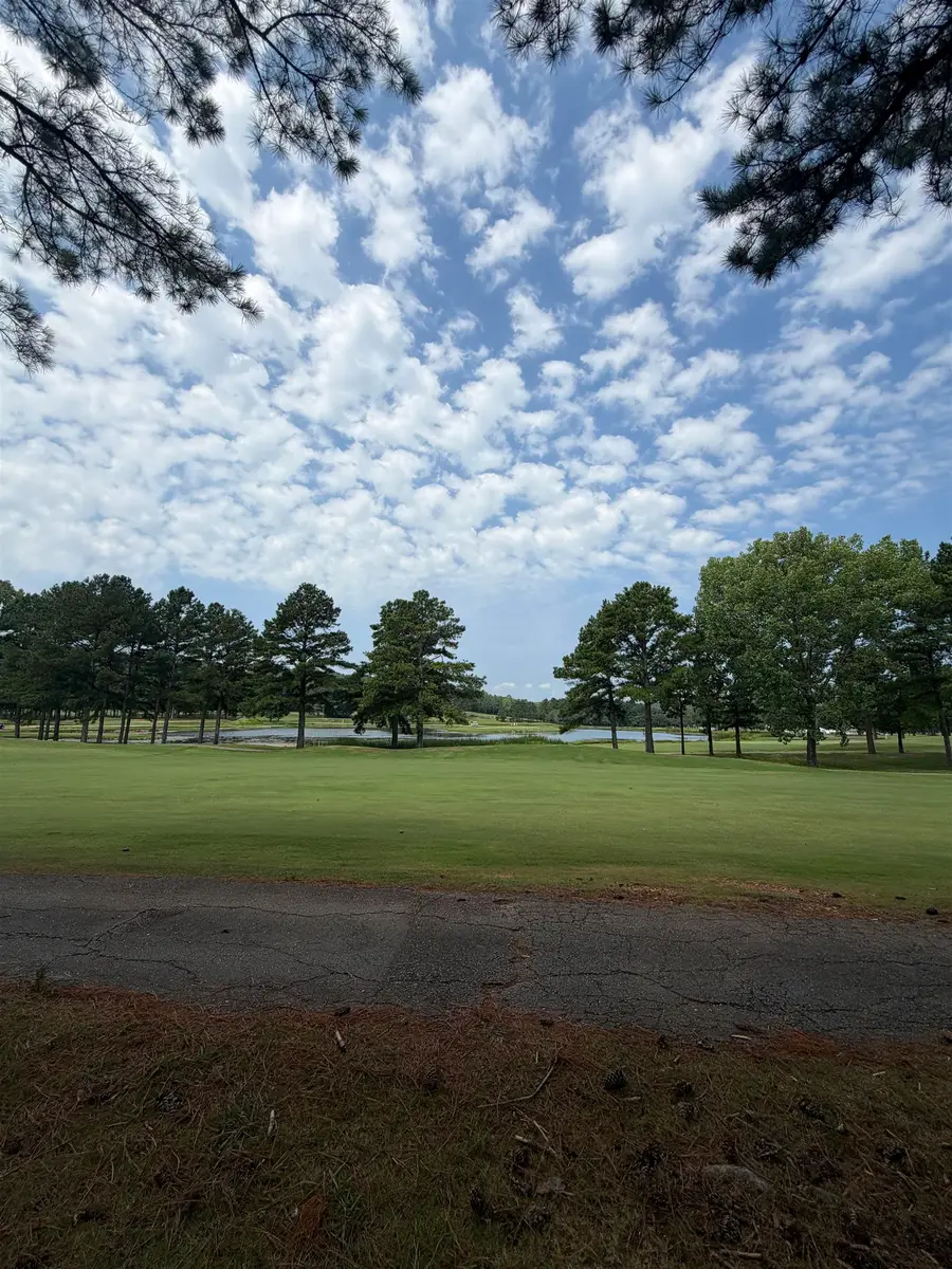 0 Twin Pines Cir, Tuscumbia, AL 35674 - #2