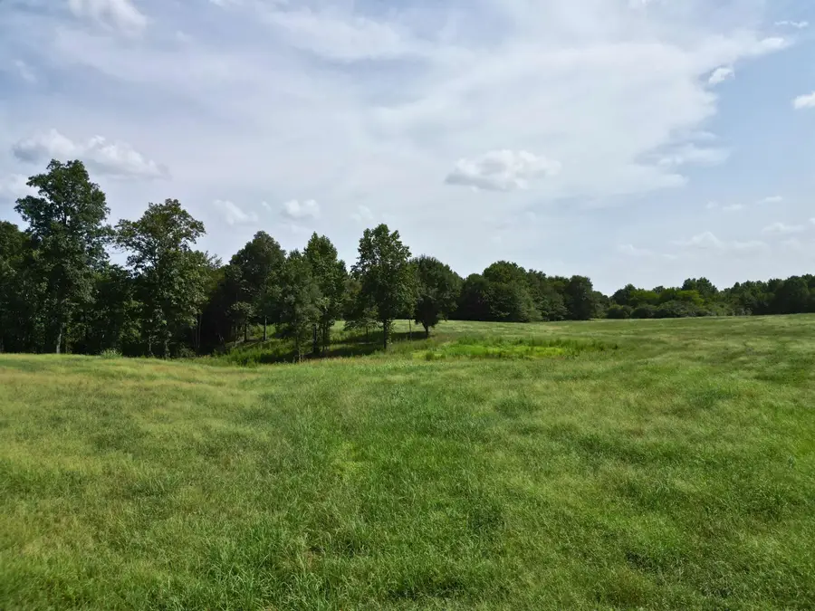 000 Co Rd 848, Logan, AL 35098 - #2