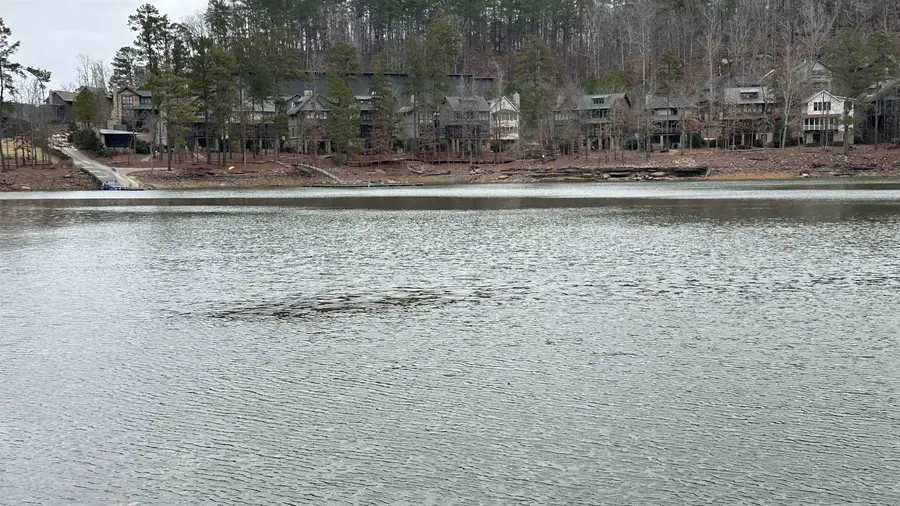 Lot 8 Co Rd 106, Logan, AL 35098 - #2