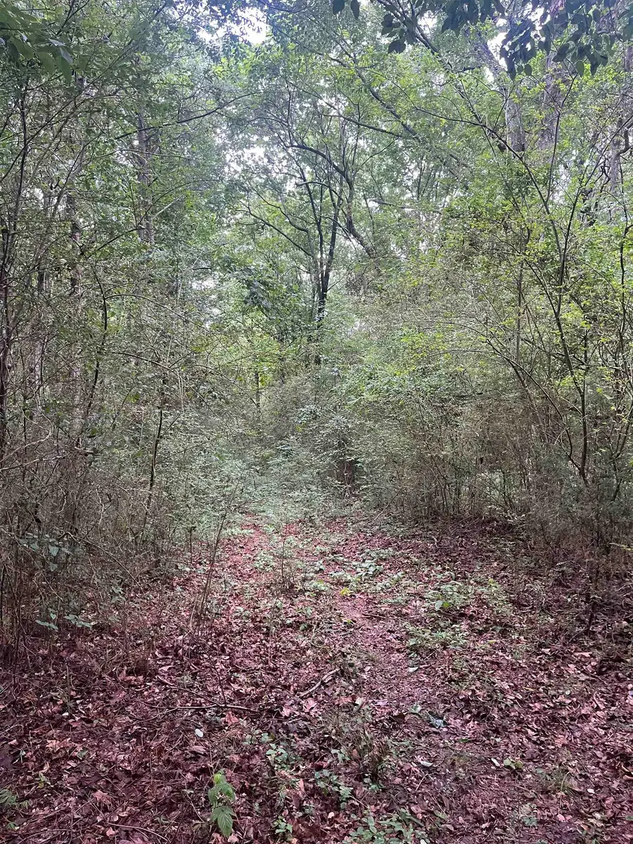 179 Co Rd 939, Cullman, AL 35057 - #2