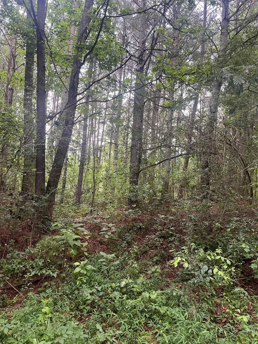179 Co Rd 939, Cullman, AL 35057 - #3