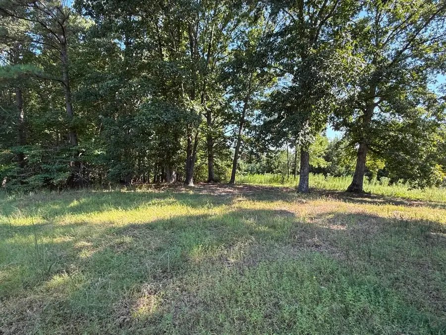 5100 Co Rd 85, Florence, AL 35633 - #2