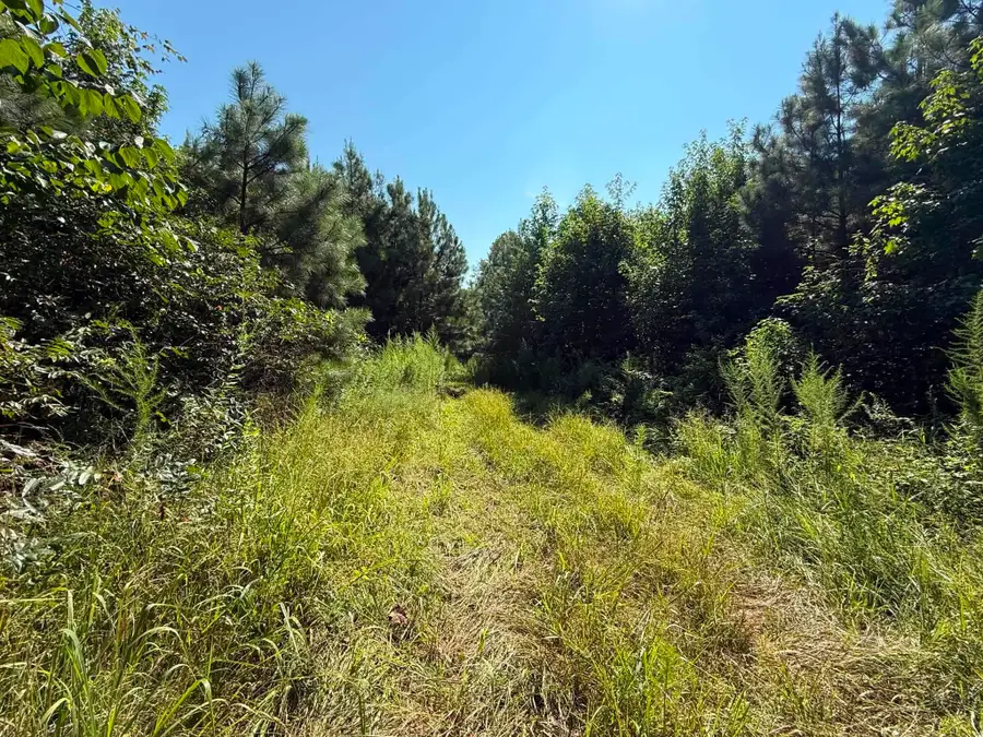 5100 Co Rd 85, Florence, AL 35633 - #3