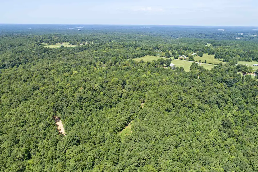 0 Co Rd 25, Bremen, AL 35033 - #3