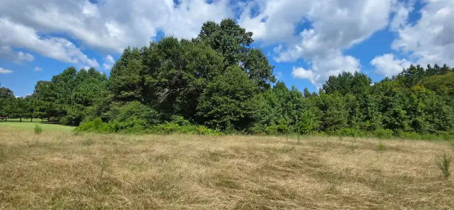 0 Hwy 91, Hanceville, AL 35077 - #2