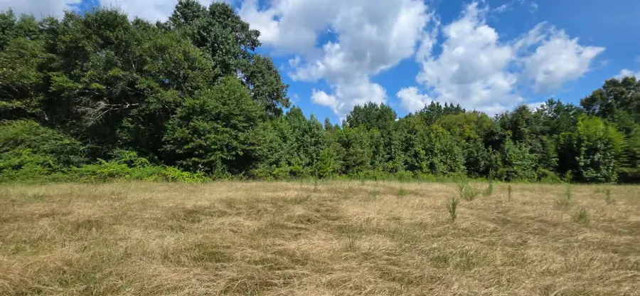 0 Hwy 91, Hanceville, AL 35077 - #3
