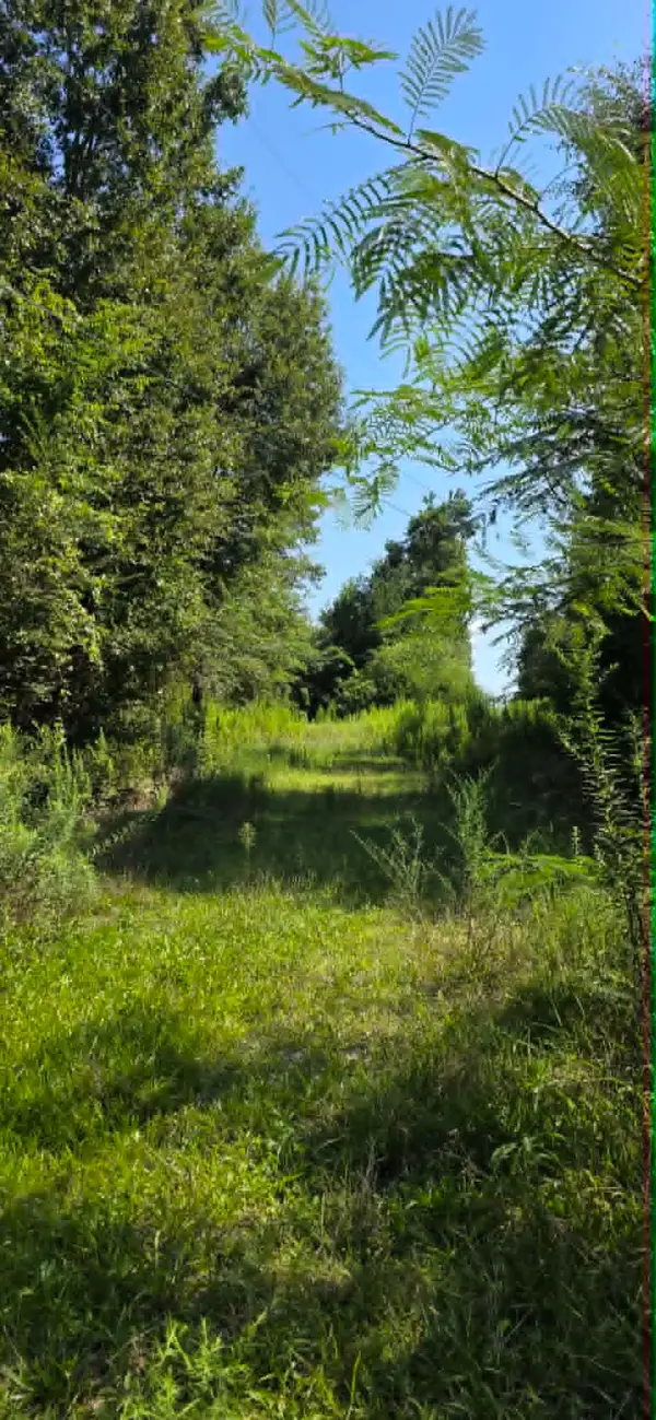 0 Hwy 91, Hanceville, AL 35077