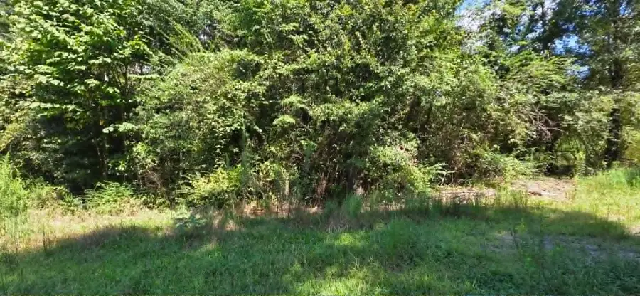 0 Hwy 91, Hanceville, AL 35077 - #2