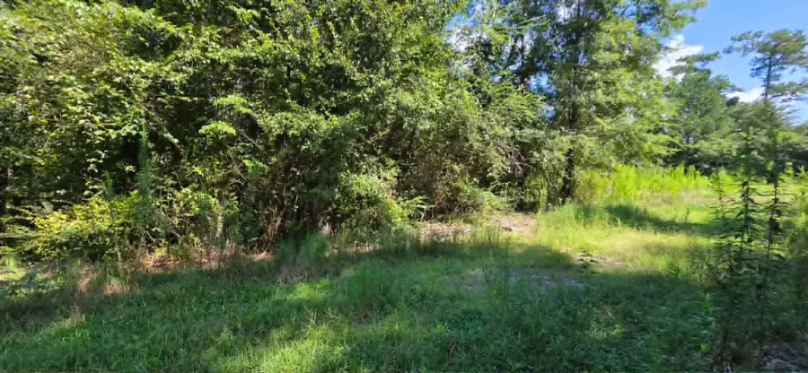 0 Hwy 91, Hanceville, AL 35077 - #3
