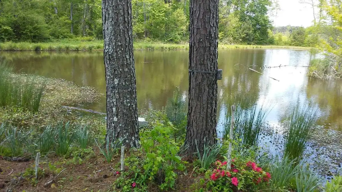 000 Co Rd 1069, Vinemont, AL 35179 - #1