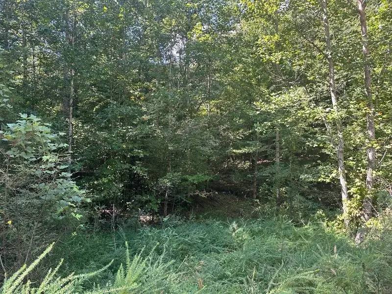 Lot 2 Cedar Ridge Rd, Russellville, AL 35653 - #2
