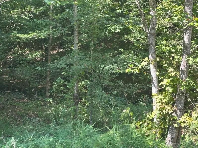 Lot 2 Cedar Ridge Rd, Russellville, AL 35653 - #3