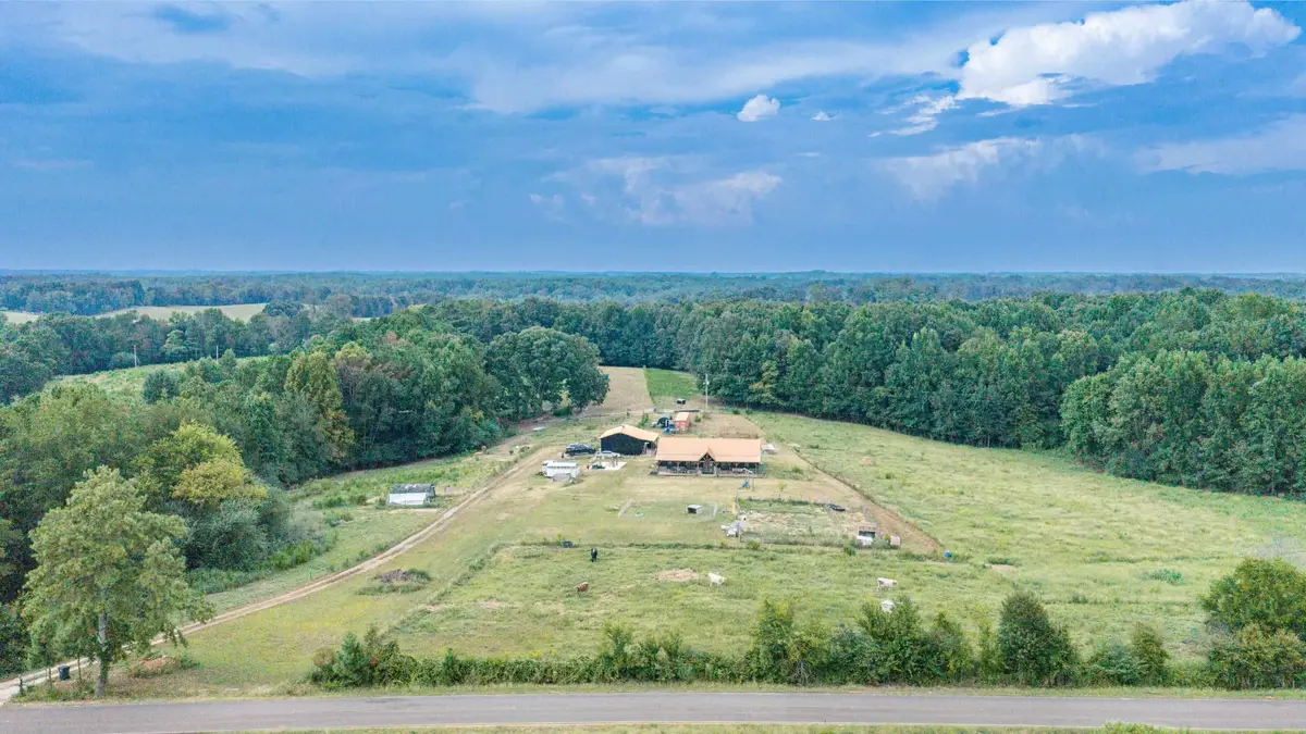 847 Co Rd 506, Anderson, AL 35610 - #1