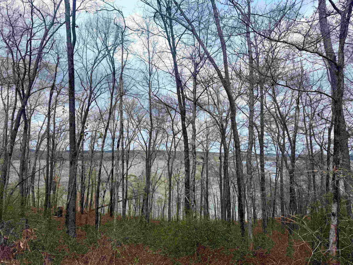 Lot 37&38 Imperial Lp, Cherokee, AL 35616 - #1