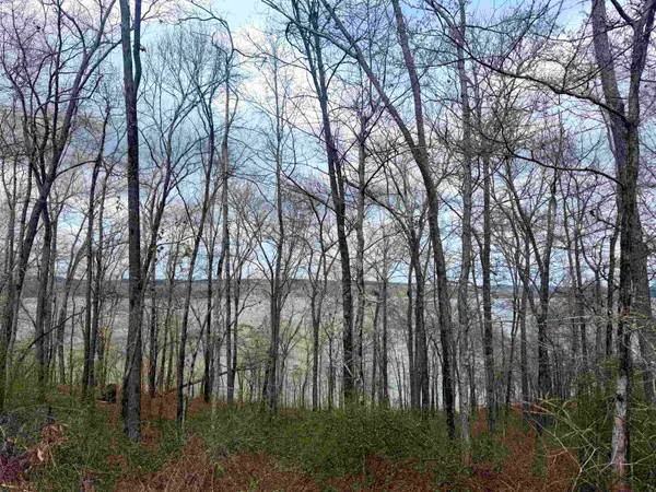 Lot 37&38 Imperial Lp, Cherokee, AL 35616
