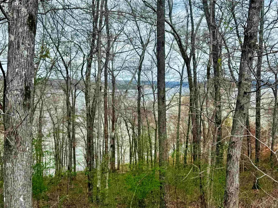 Lot 37&38 Imperial Lp, Cherokee, AL 35616 - #2