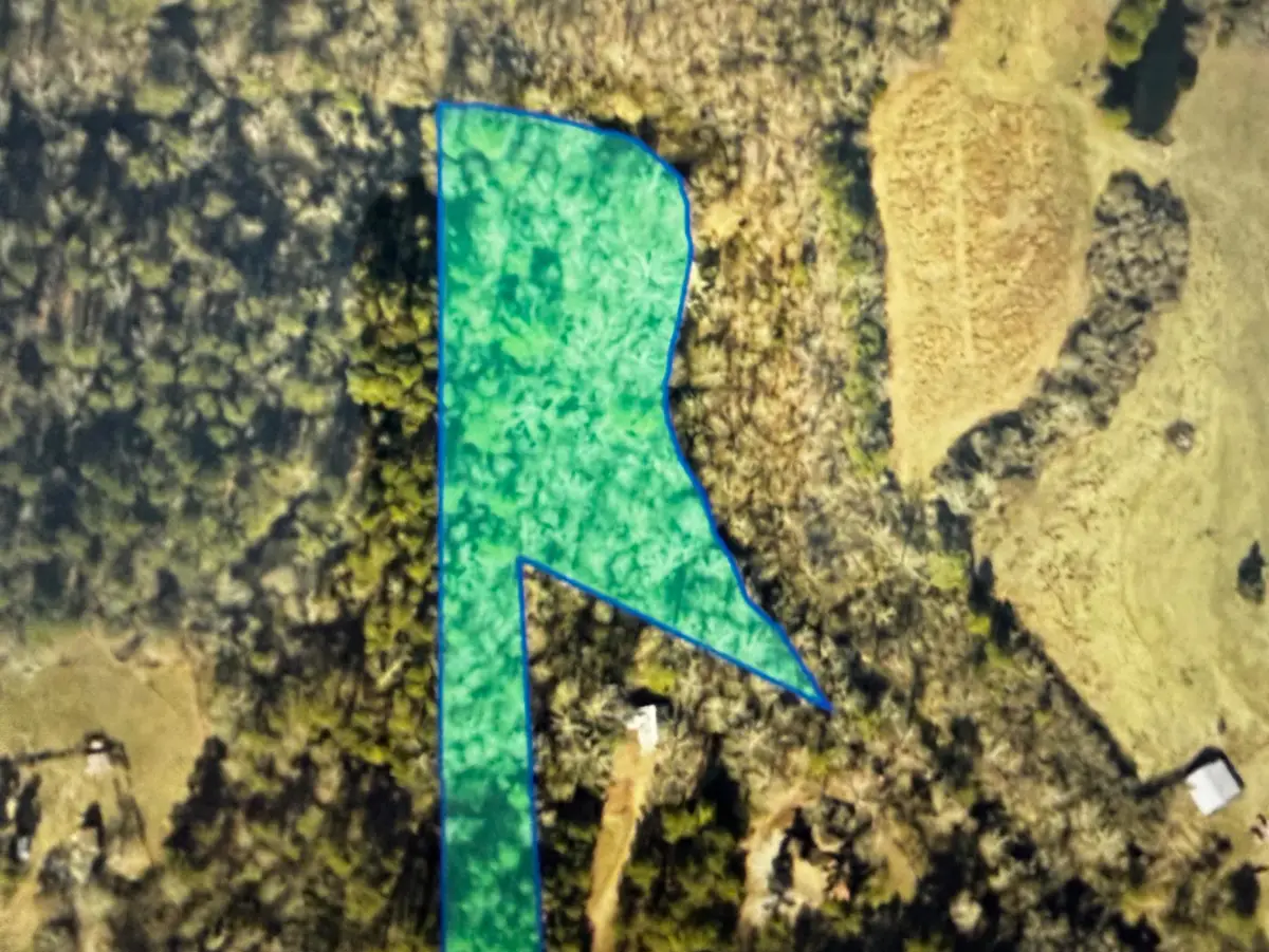 0 Co Rd 1728, Holly Pond, AL 35083 - #1