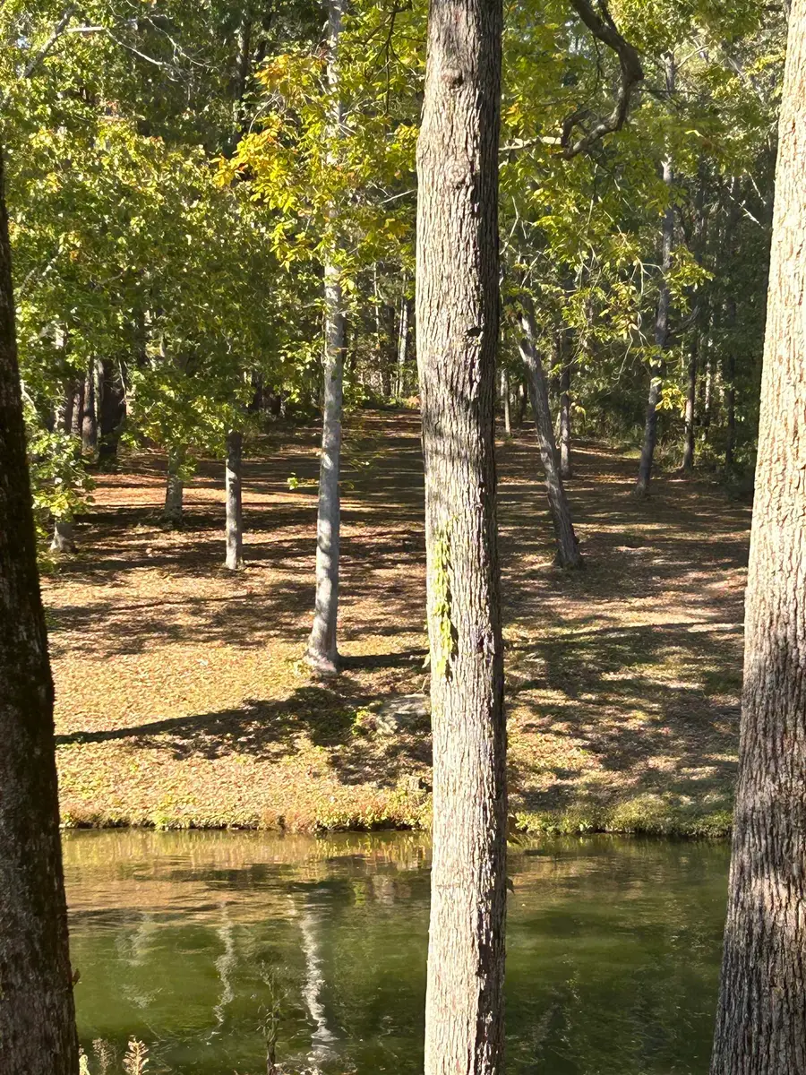 021 Co Rd 30, Florence, AL 35634 - #3