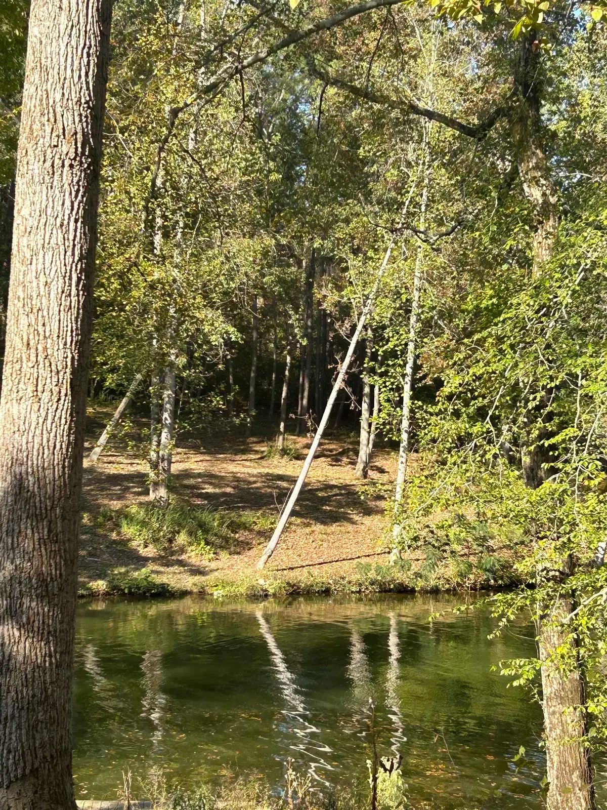 023 N Co Rd 30, Florence, AL 35634 - #1