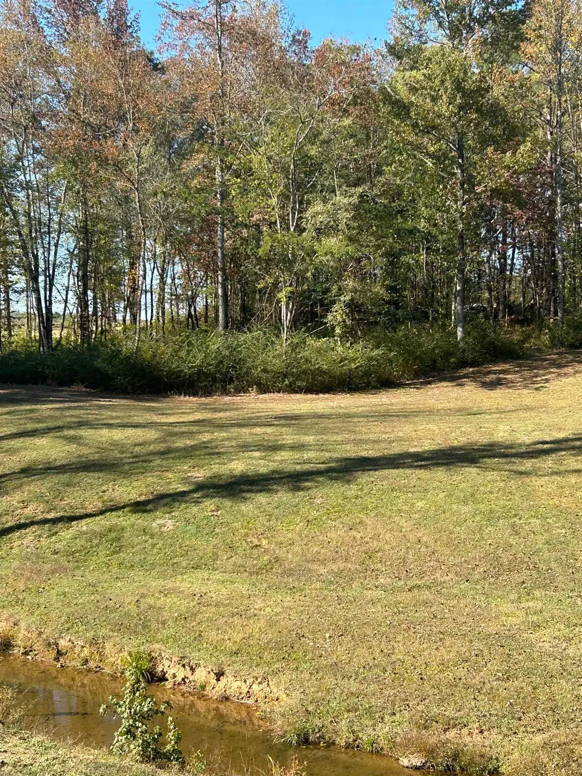 025 N Co Rd 30, Florence, AL 35634 - #1