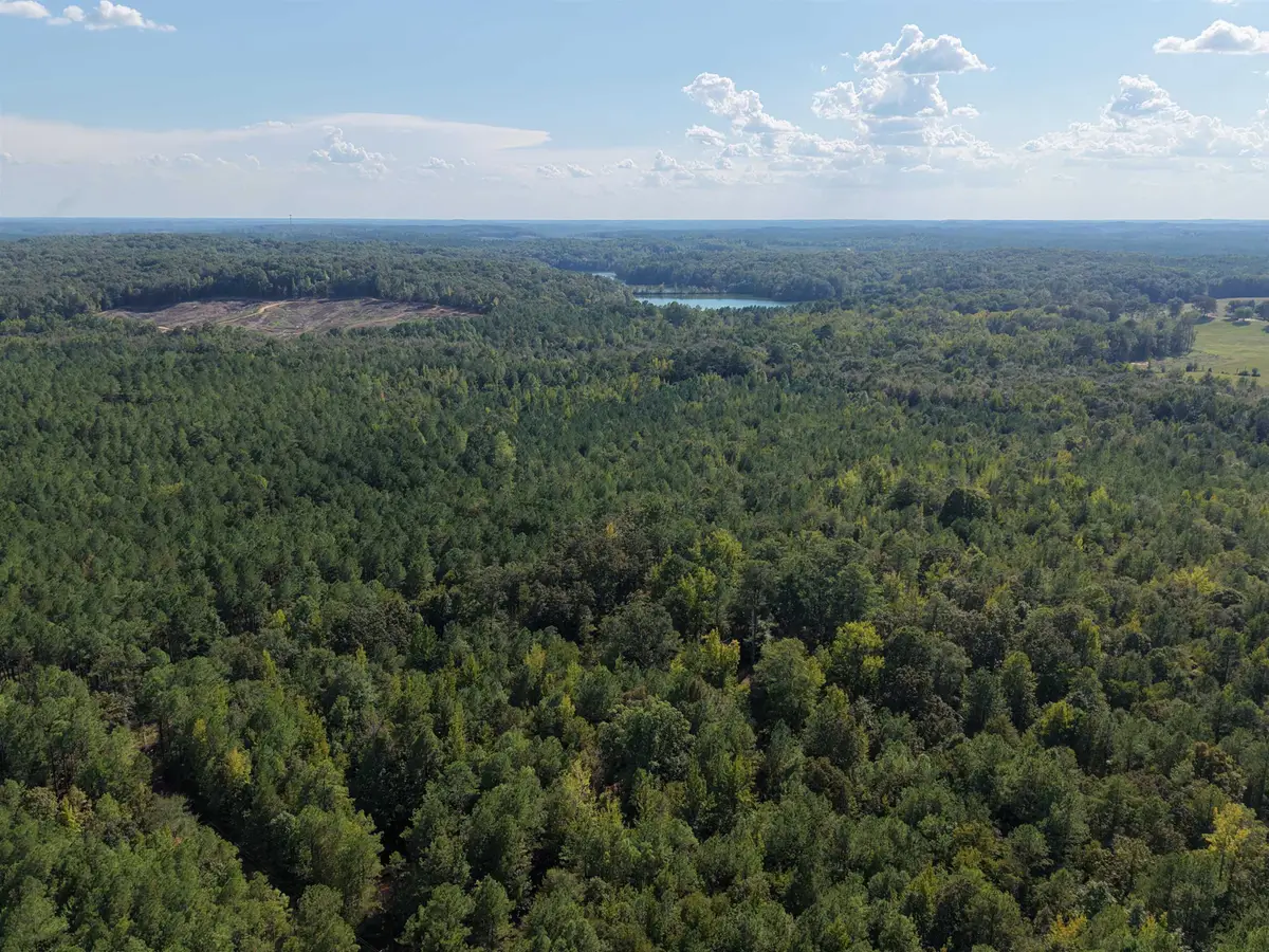 0 Glass Rd, Sulligent, AL 35586 - #1