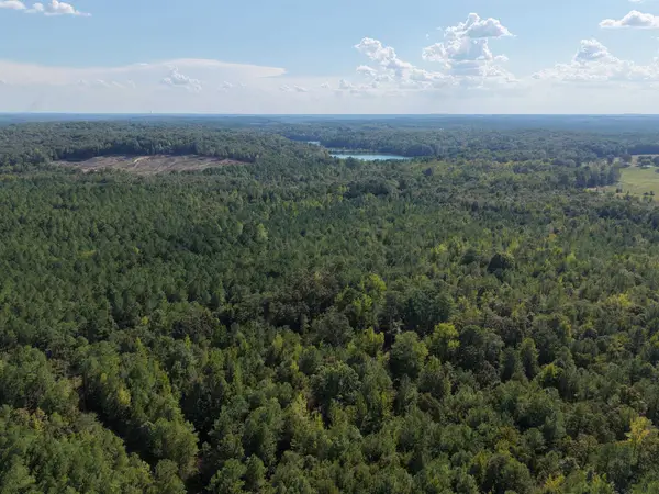 0 Glass Rd, Sulligent, AL 35586
