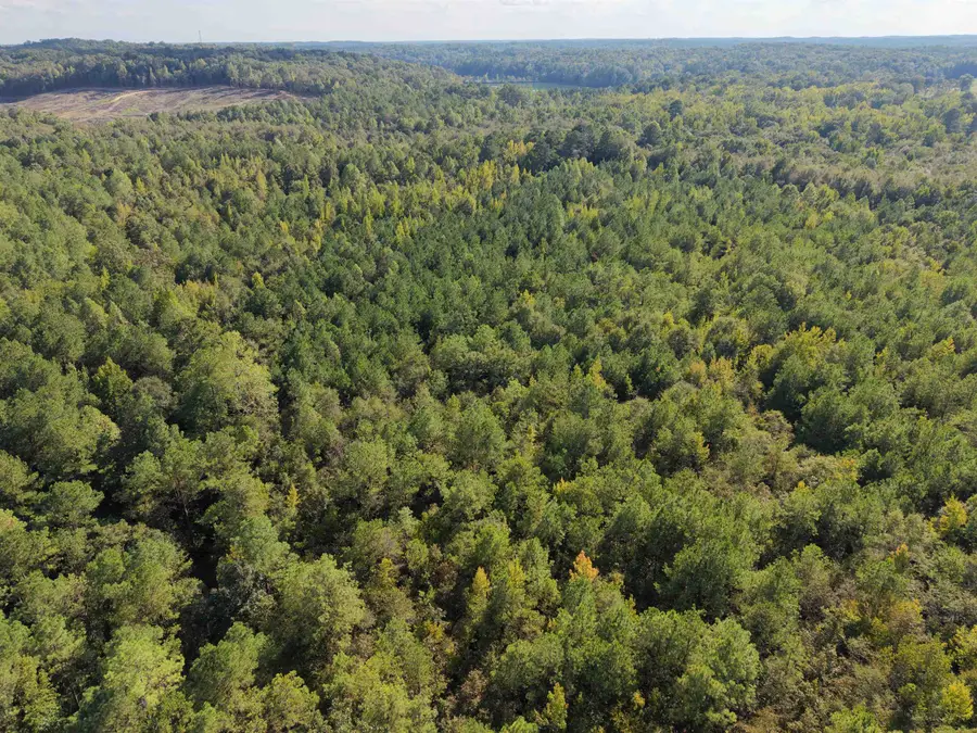0 Glass Rd, Sulligent, AL 35586 - #2