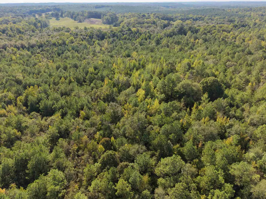 0 Glass Rd, Sulligent, AL 35586 - #3