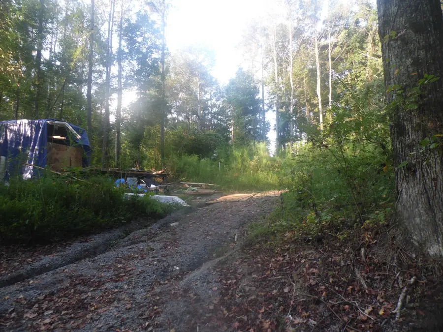 527 Co Rd 1216, Vinemont, AL 35179 - #3