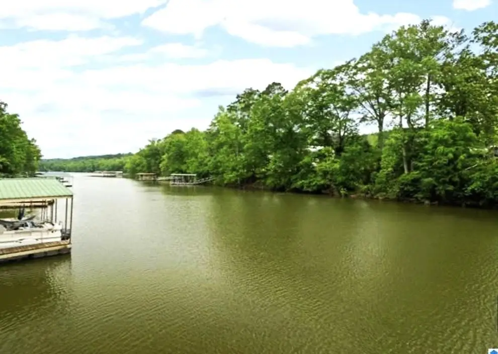0 Co Rd 942, Crane Hill, AL 35053 - #1