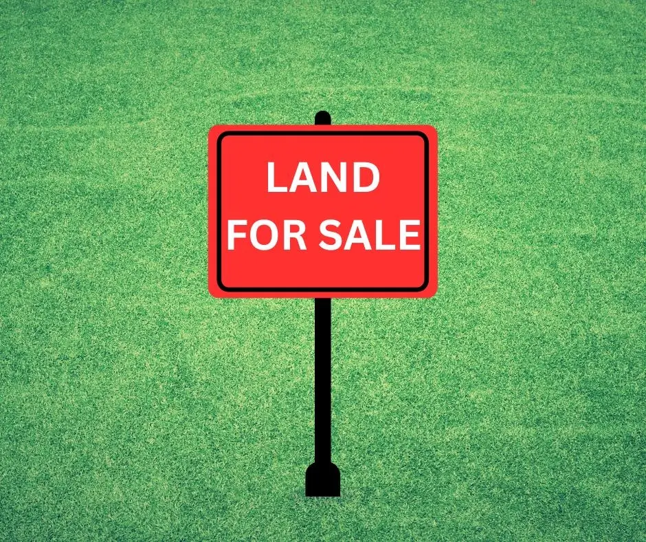 10569 Hwy 17, Florence, AL 35634 - #1