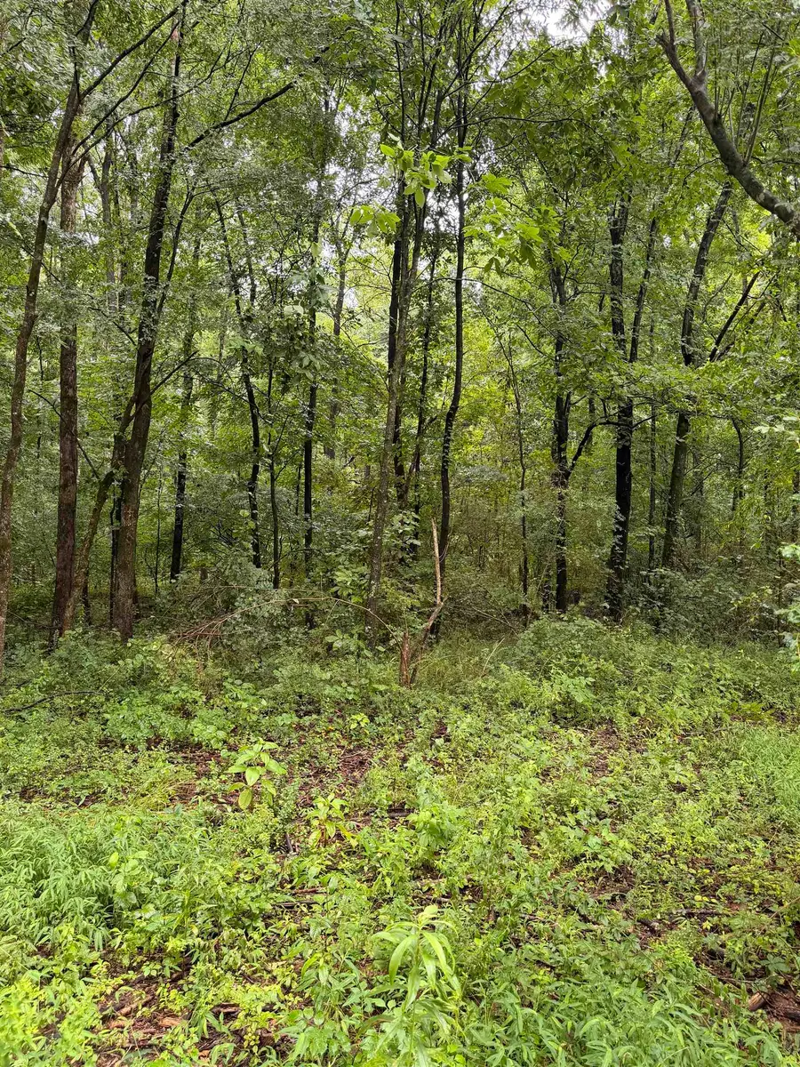1022 Co Rd 545, Rogersville, AL 35652 - #3