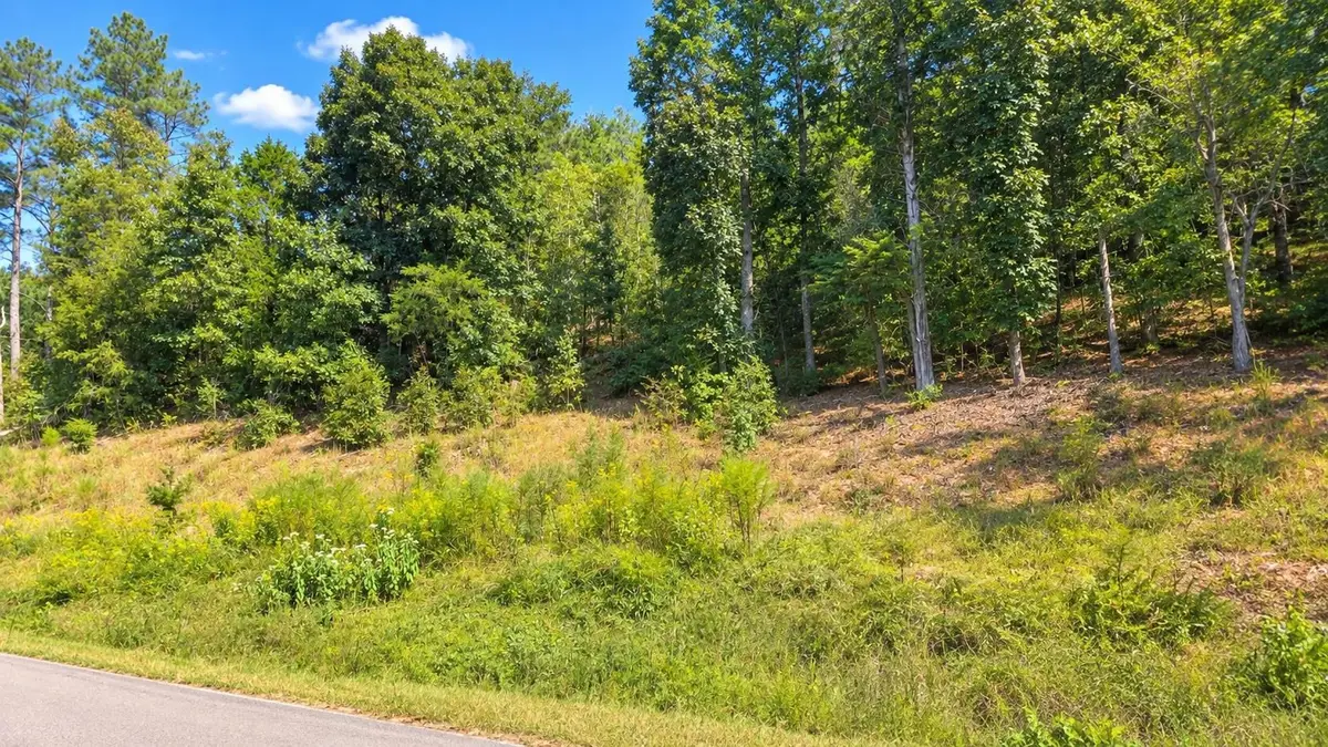 Lot 4 Riverton Rose Tl, Cherokee, AL 35616 - #1