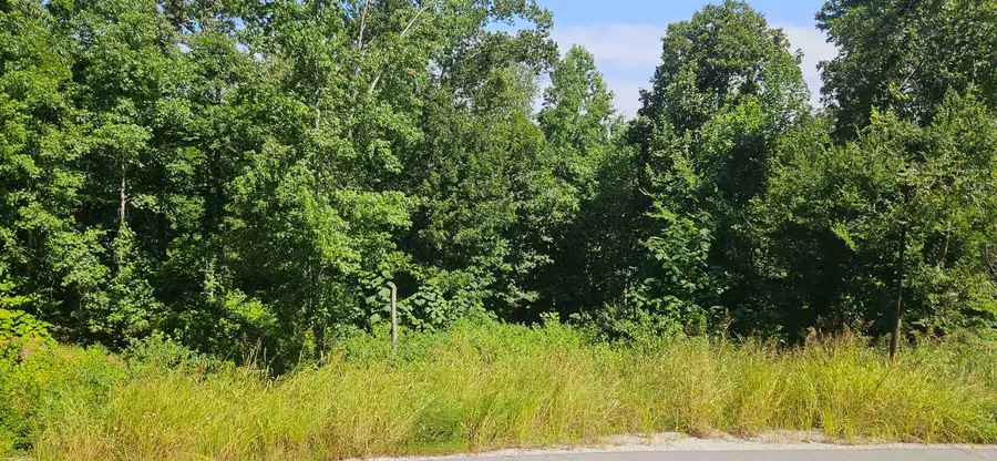 0 Wellington Rdg #26, Cherokee, AL 35616 - #3