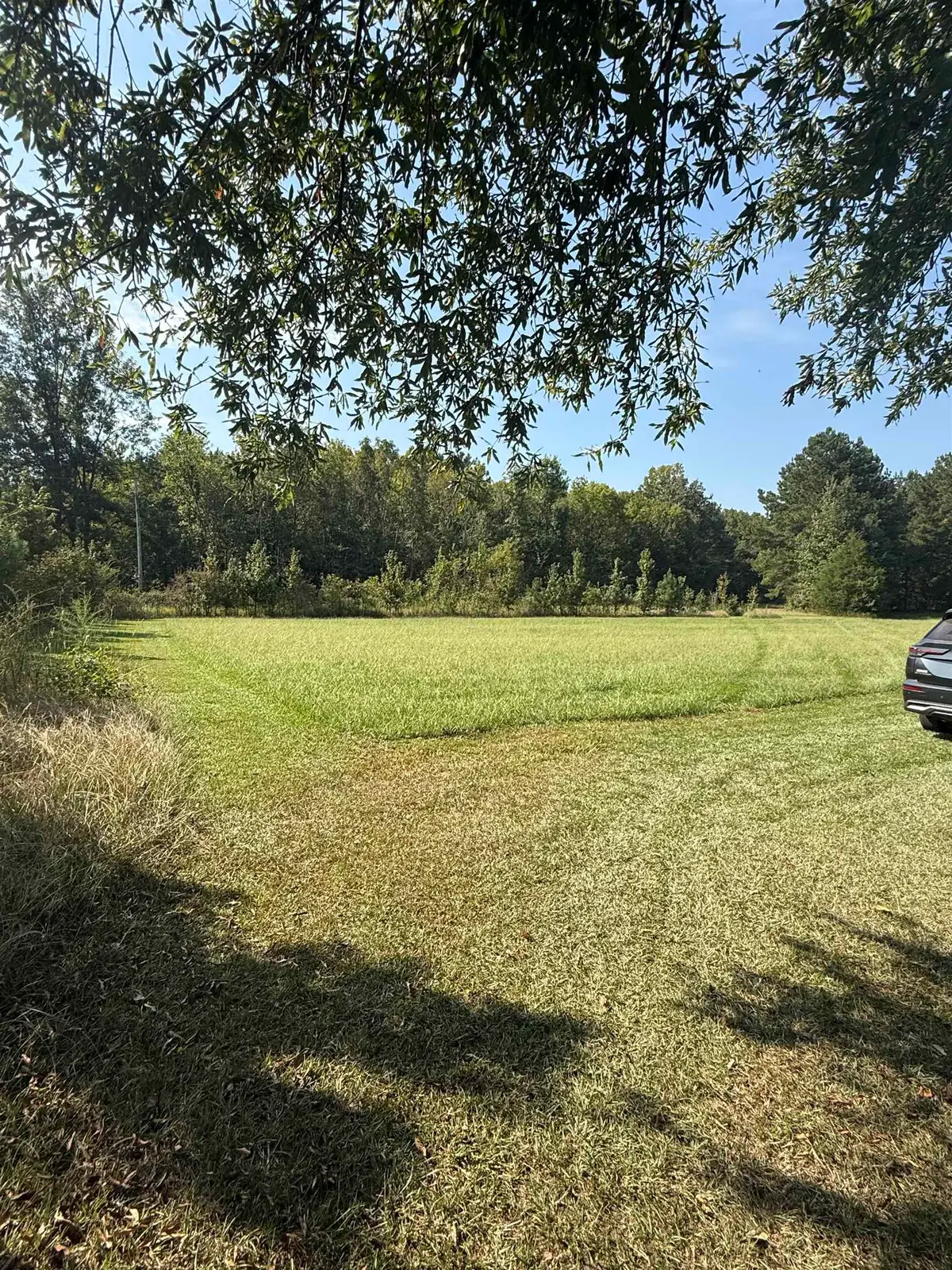 0 Clement Rd, Leighton, AL 35646 - #1
