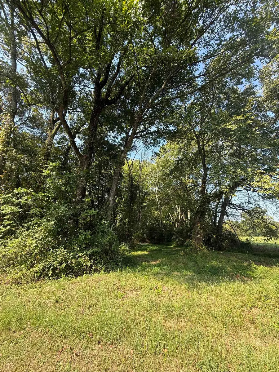 0 Clement Rd, Leighton, AL 35646 - #3
