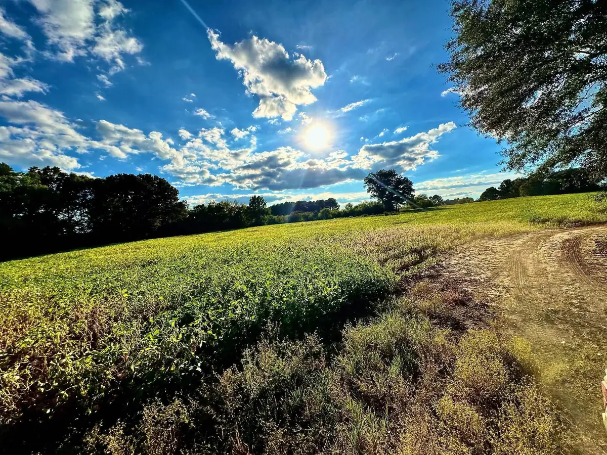0 Gargis Ln, Tuscumbia, AL 35674 - #1