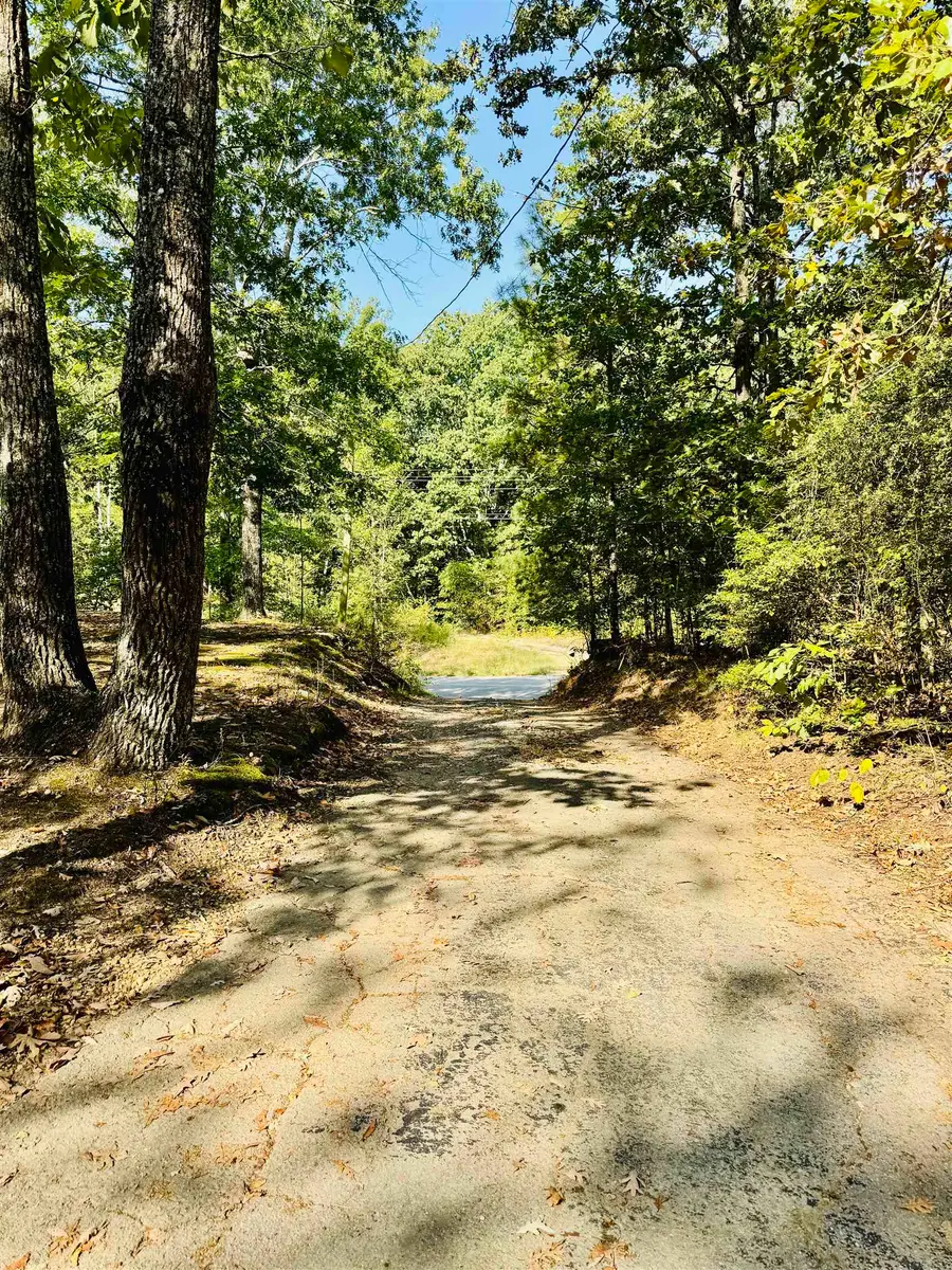 6824 Hwy 247, Red Bay, AL 35582 - #3